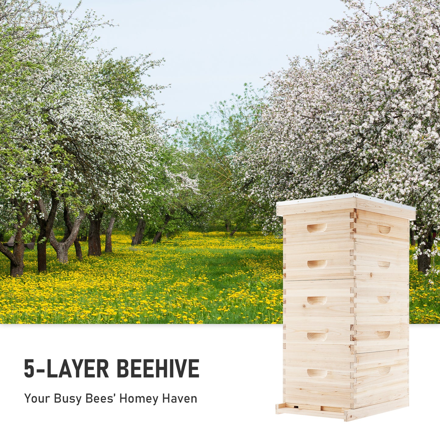 Bee Hive Boxes Starter Kit, Langstroth Beehive for Bee Keeping, 5 Layer Bee House with 4 Medium Storage Boxes & 1 Deep Brood Box