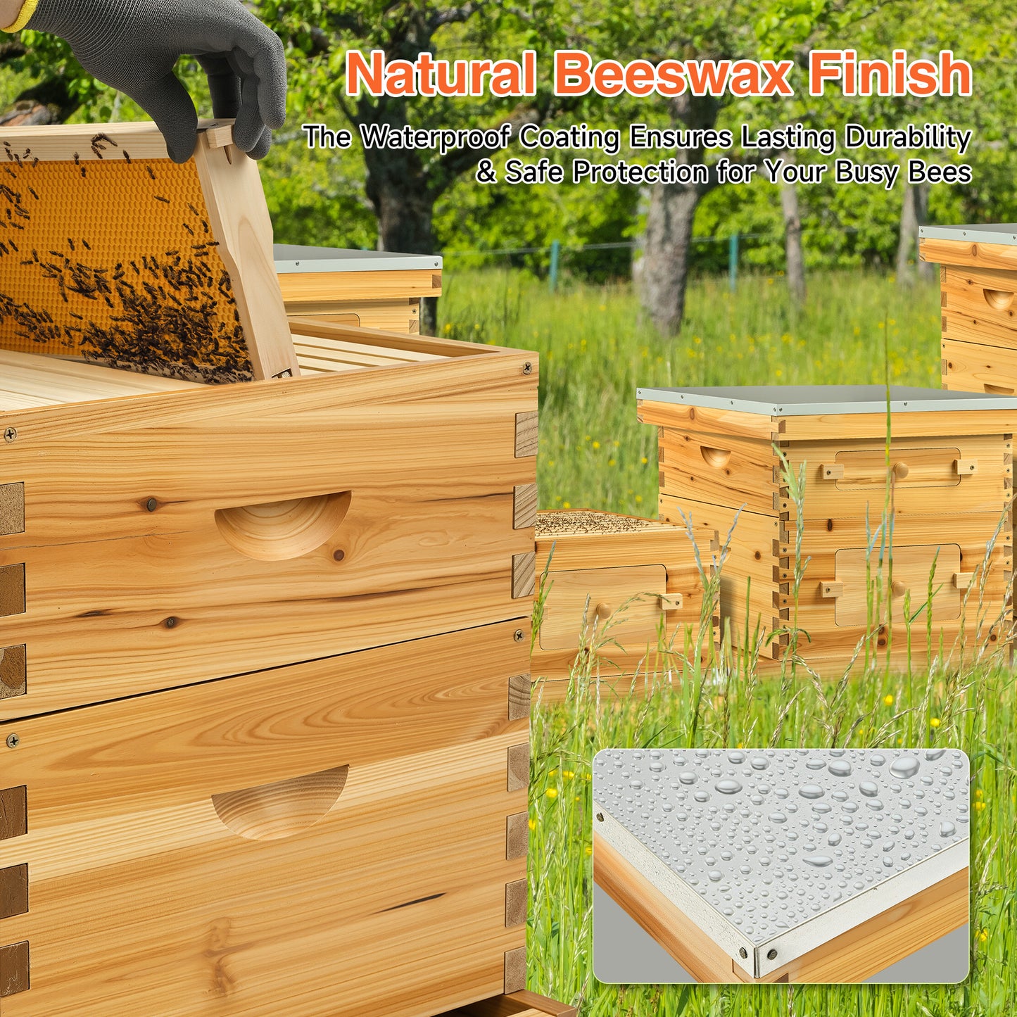20 Frame Bee Hive Box Kit Beeswax Coated Langstroth Beehive Kit for Beekeeping