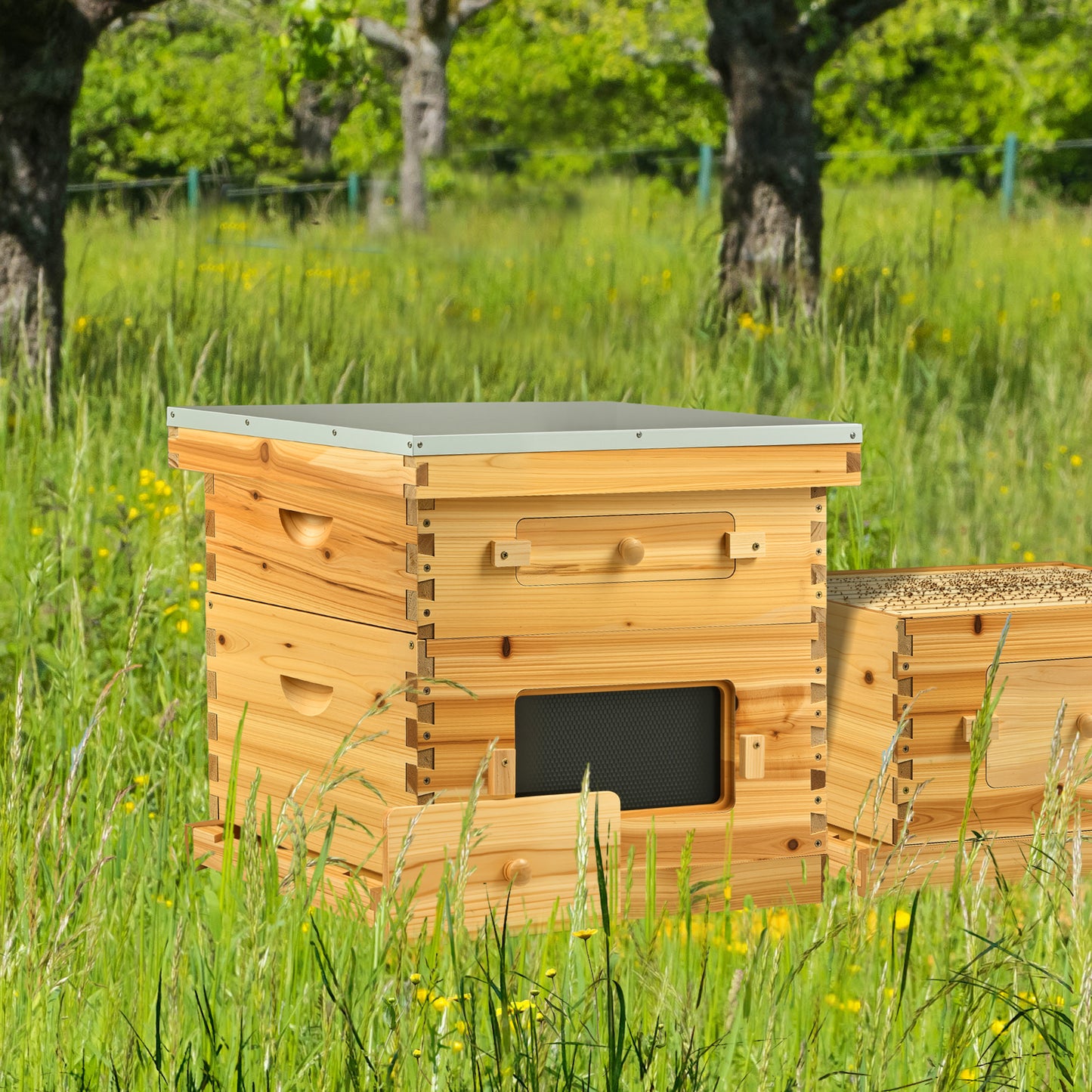 20 Frame Bee Hive Box Kit Beeswax Coated Langstroth Beehive Kit for Beekeeping